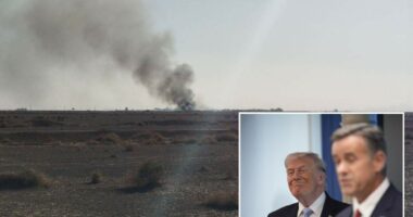 Trump confirms CIA 'Ghost Murmur' tool was âvery importantâ to find airman in Iran â as experts debate how it works